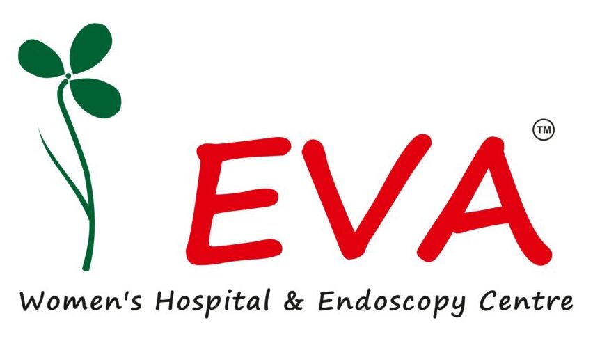 eva logo scaled e1747307950843
